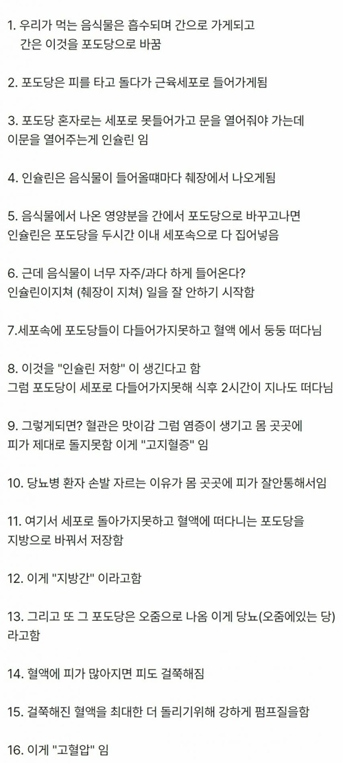 당뇨가 생기는 과정