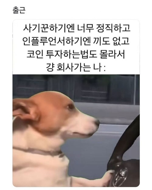 직장인 대다수의 특징