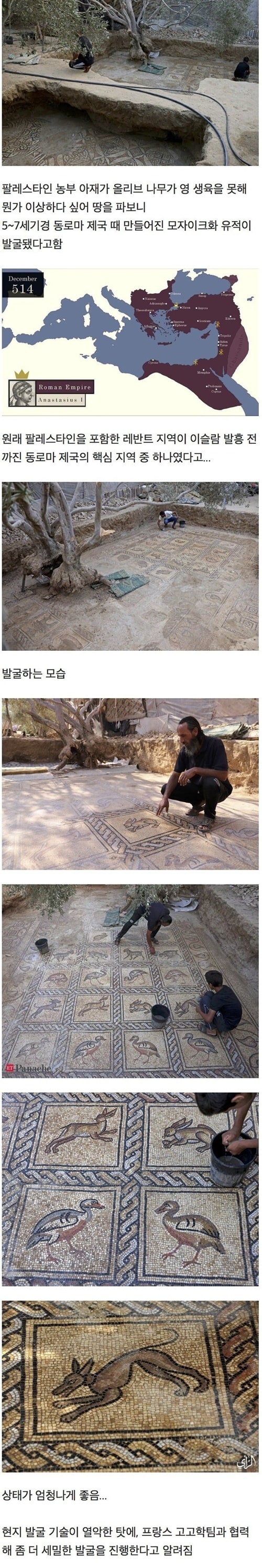 프랑스 애들한테 다 털리겠네