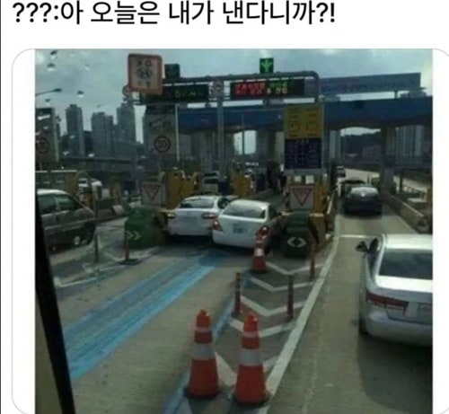 그거참,,오늘은 내가 낸다니깐
