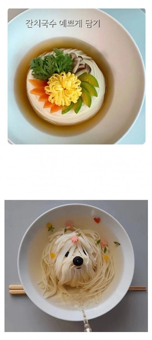 예쁘게 담기 vs 개같이 담기