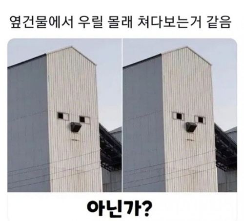 우릴 쳐다보는거 같은 깨름직함