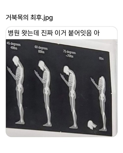 홍보 무섭네요