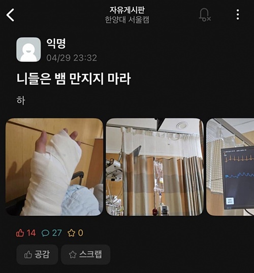 살아있는게 다행이다