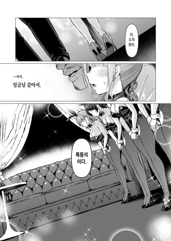 더럽혀진 별 .적