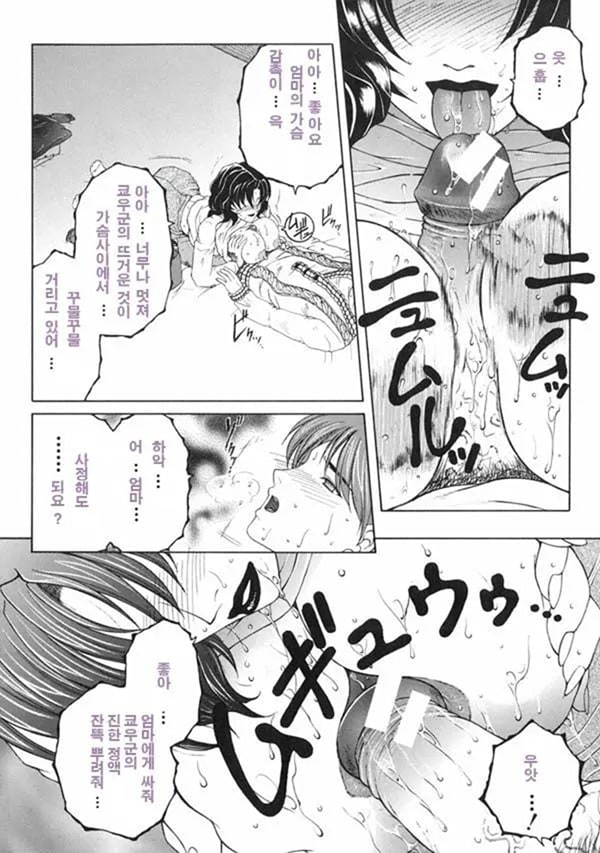 모정 전편