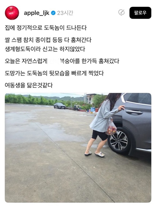 가까운 도둑ㅋㅋㅋㅋ