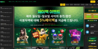 나무 먹튀 확정