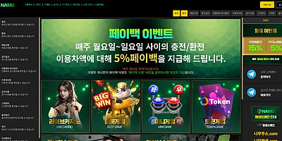 나무 먹튀 확정