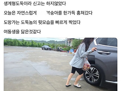 가까운 도둑ㅋㅋㅋㅋ