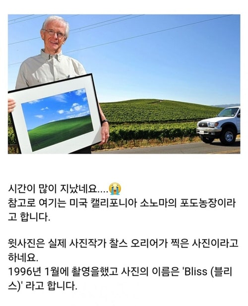 XP 배경화면 약 30년이 지난 현재 반갑구나~