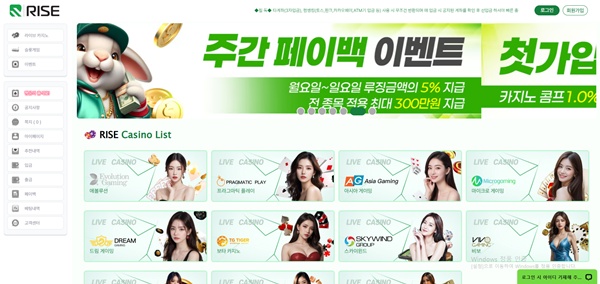 라이즈