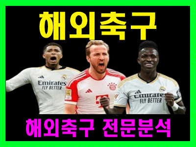 8월 19일 호주FA컵 하이델베 vs 웰링피닉