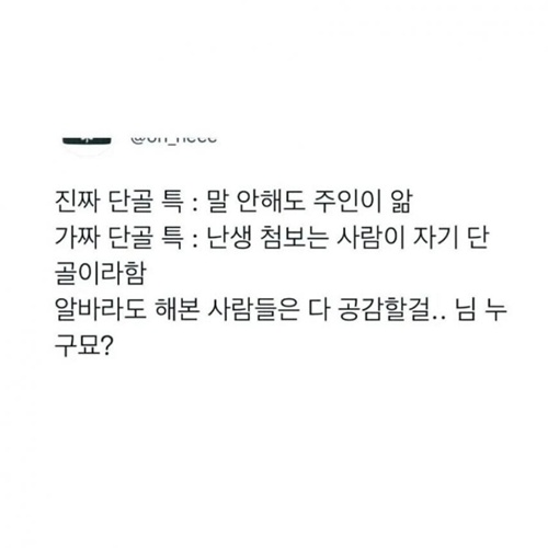 구라치면 안돼