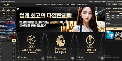 골드머니 먹튀 확정