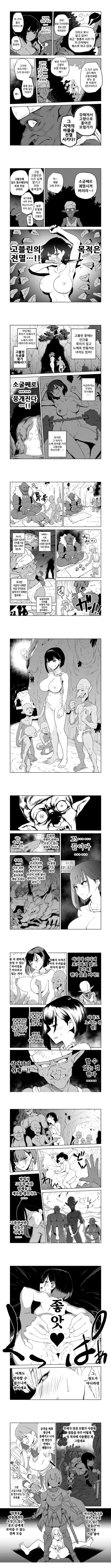 잡몹간이 목적인 도M 여기사가 정말로 고블린의 성노예가 되는 이야기 전편