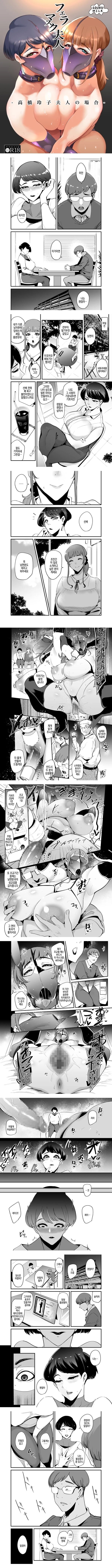 펠라마스크 부인 - 타카하시 레이코 부인의 경우