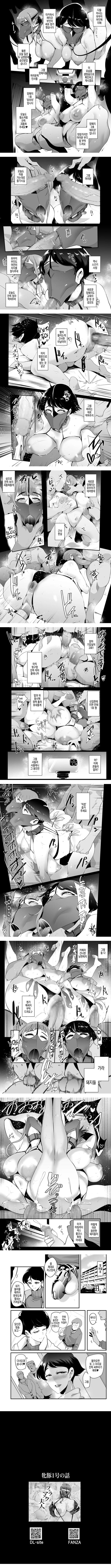 펠라마스크 부인 - 타카하시 레이코 부인의 경우