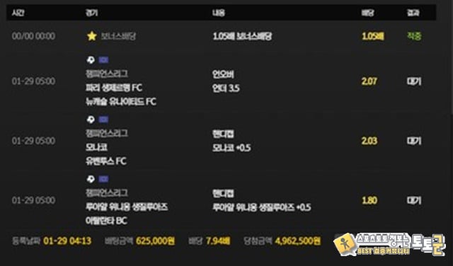 라이언 먹튀