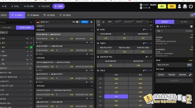 벳라이즈 먹튀사이트 이용중지하세요